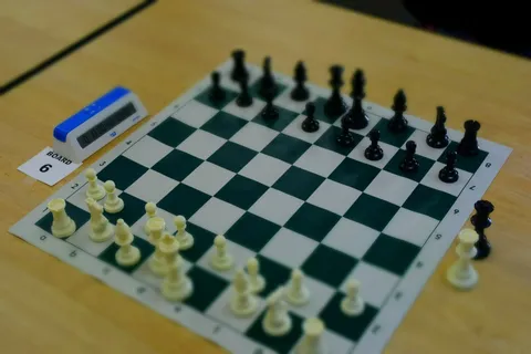 TEHIPITE CHESS EVENT photograph 24