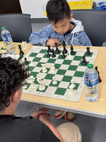 Chess photograph 4