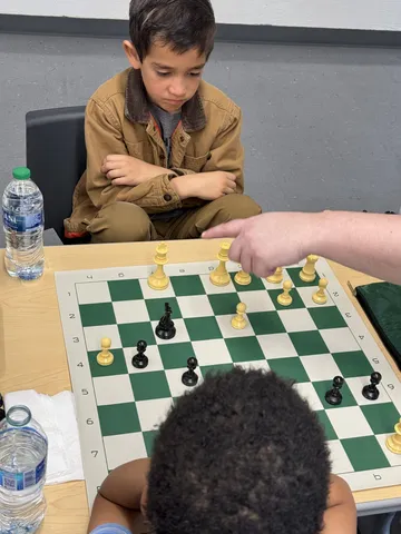 Chess photograph 8