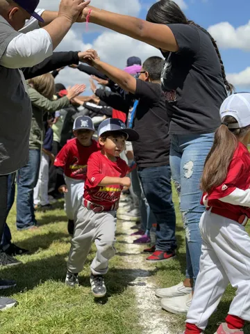 Little League Baseball photograph 47