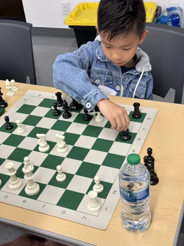 Chess photograph 5