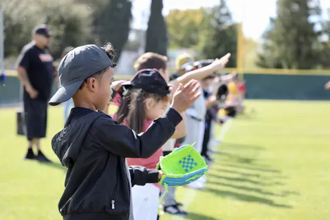 Little League Baseball photograph 7