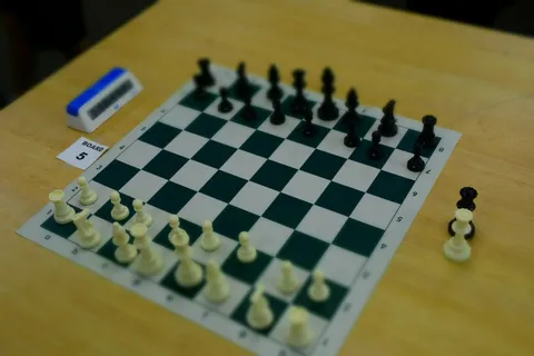 TEHIPITE CHESS EVENT photograph 19