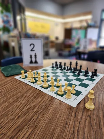 Chess photograph 30