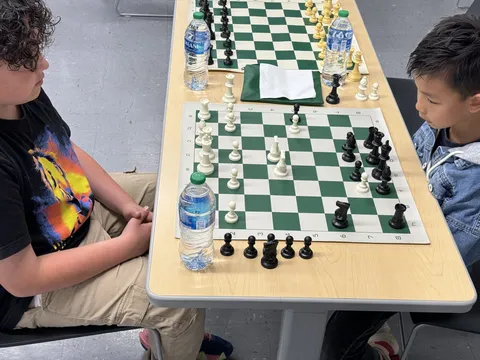Chess photograph 3